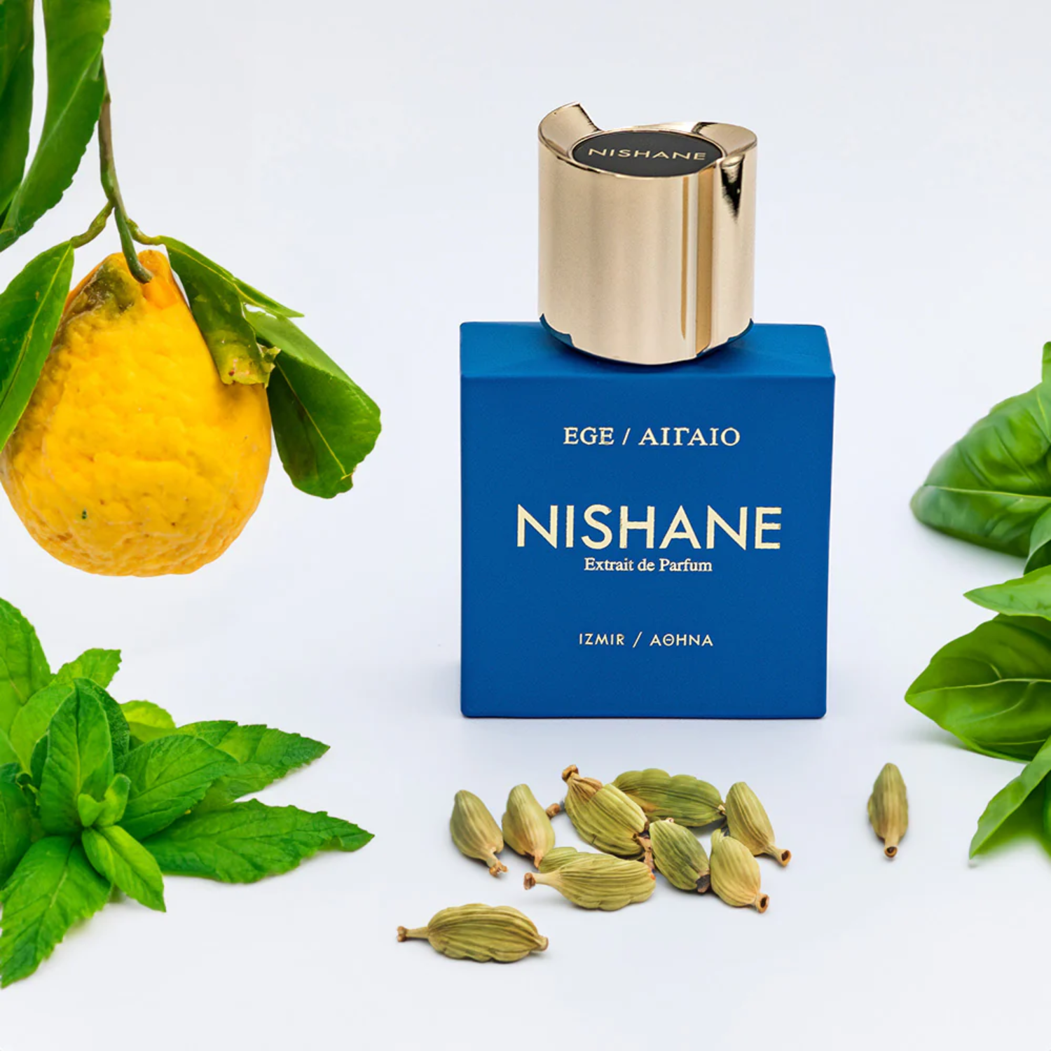 NISCHEANE EXTRAIT DE PARFUM