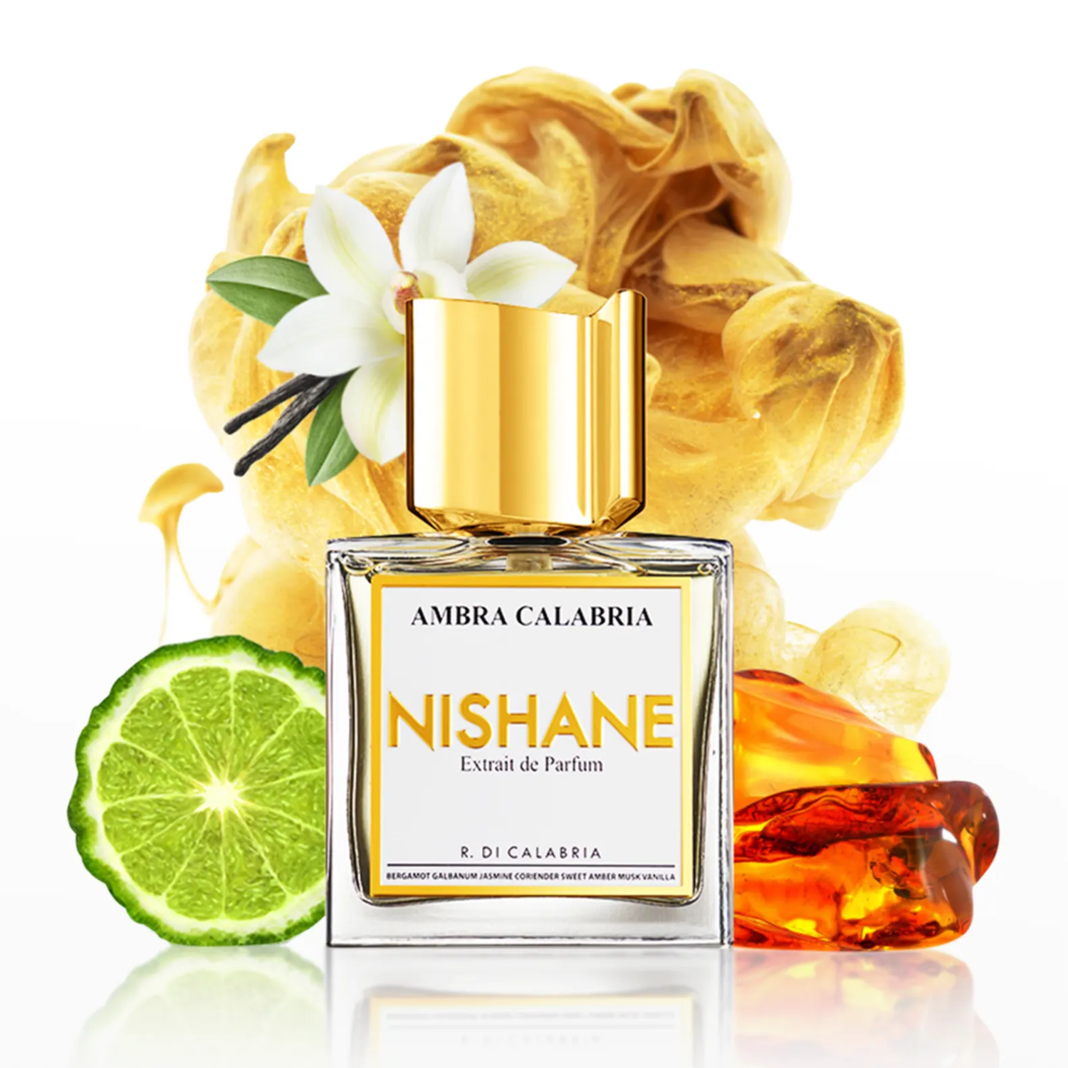 NISCHANE