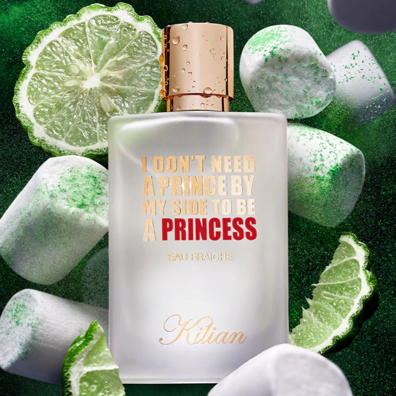 i don't need a prince by my side to be a princess